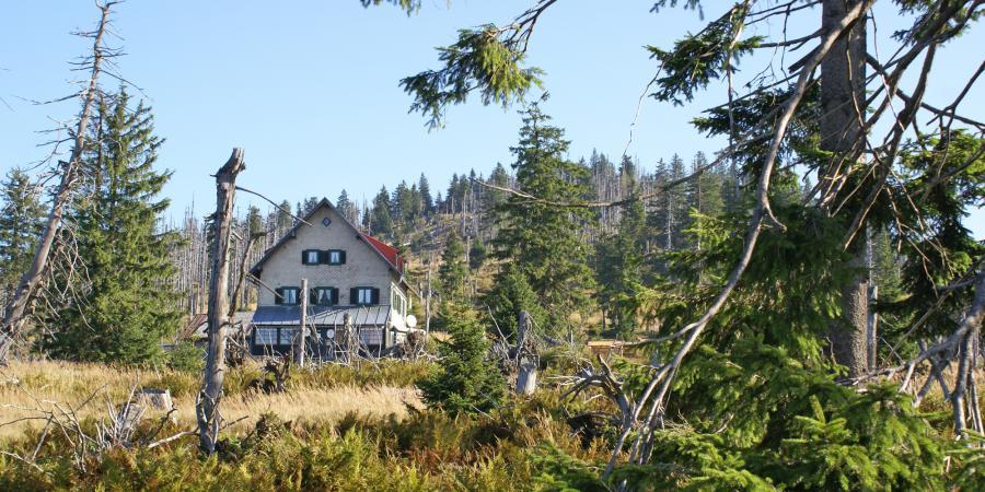 Waldschmidthaus auf dem Rachel bleibt wegen Corona zu ...